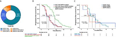 EGFR-Mutated Squamous Cell Lung Cancer and Its Association With Outcomes
